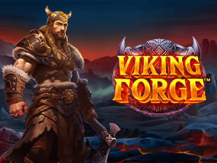 Viking Forge icon