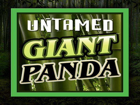 Untamed - Giant Panda icon